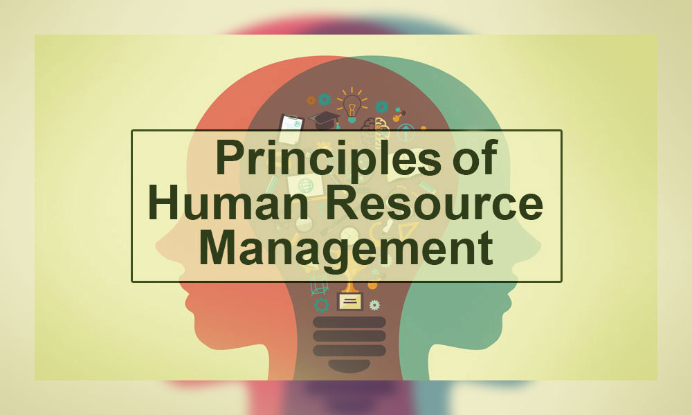 مبانی اصول مدیریت منابع انسانی که هر کسب و کاری باید بداند؟